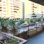 Rent 4 bedroom apartment in Rome