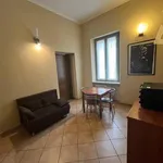 Rent 2 bedroom apartment of 50 m² in Torino