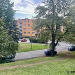 Rent 1 bedroom apartment of 38 m² in Nové Město na Moravě