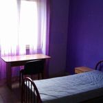 Rent a room in Perugia