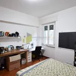 Rent 4 bedroom apartment of 100 m² in Pisa