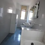 Appartamento in affitto a Lentini zona P.zza dei sofisti (Siracusa)  - rif. 2355049