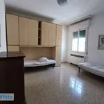 Rent 3 bedroom apartment of 76 m² in Bologna