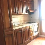 Rent 3 bedroom house of 80 m² in Rome