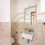 Affitto 6 camera appartamento di 312 m² in Cerveteri