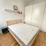 Rent 2 bedroom apartment of 40 m² in Milan