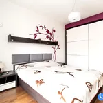 Rent 2 bedroom apartment of 50 m² in Krakow