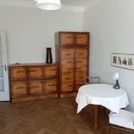 Rent 1 bedroom apartment of 20 m² in Łódź