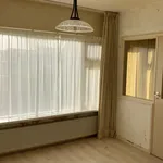 Rent 2 bedroom apartment of 64 m² in achthuizen