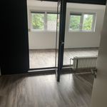 Rent 4 bedroom apartment of 120 m² in Appel