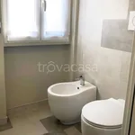 Rent 1 bedroom apartment of 32 m² in Milano