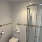 Rent 1 bedroom apartment in Norwich