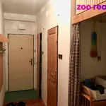 Rent 3 bedroom apartment of 59 m² in Přerov