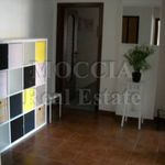 Rent 4 bedroom apartment of 120 m² in Caserta