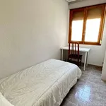 Habitación en alicante