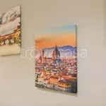 Rent 3 bedroom apartment of 60 m² in Firenze