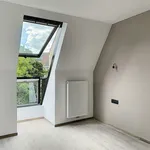 Rent 2 bedroom apartment of 132 m² in Ghent