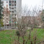 Rent 1 bedroom apartment in Milano