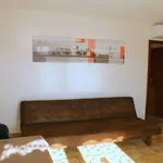  appartement avec 1 chambre(s) en location à CAZAUBON