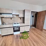 Rent 2 bedroom apartment of 42 m² in Bechyně