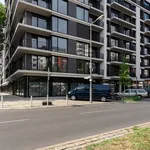 Rent 1 bedroom apartment of 41 m² in Berlin