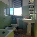 Rent 1 bedroom apartment of 55 m² in Milano