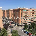 Rent 2 bedroom apartment of 70 m² in Roma