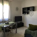 Rent 2 bedroom apartment of 50 m² in Senigallia