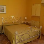 Rent 2 bedroom apartment of 50 m² in Giovinazzo