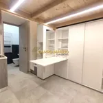 Rent 1 bedroom apartment of 28 m² in Roma