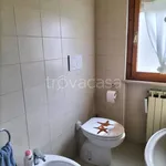 Rent 2 bedroom apartment of 60 m² in Silvi