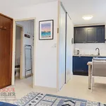 Rent 1 bedroom apartment of 25 m² in LESNEVENT