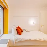 Rent 5 bedroom apartment in Berlin