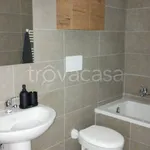 Rent 1 bedroom apartment of 45 m² in Roma