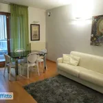 Rent 3 bedroom apartment of 90 m² in Milan