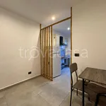 Rent 1 bedroom apartment of 20 m² in Torino