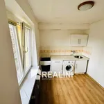 Rent 1 bedroom apartment of 30 m² in Ostrava