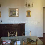 Rent 3 bedroom apartment of 110 m² in Firenze