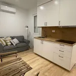 Rent 1 bedroom apartment of 40 m² in madrid