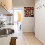 Miete 1 Schlafzimmer wohnung von 30 m² in Vienna