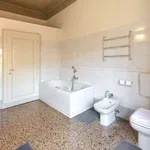 Rent 1 bedroom apartment of 50 m² in bologna