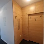 Rent 3 bedroom apartment of 91 m² in Graz