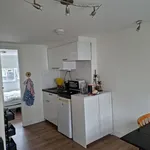 Rent 2 bedroom apartment of 25 m² in Pijlsweerd-Zuid