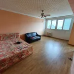 Rent 1 bedroom apartment in Mladá Boleslav