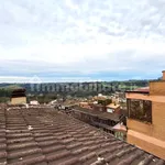 Rent 1 bedroom house of 34 m² in Rome