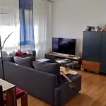 Rent 2 bedroom apartment in Basel