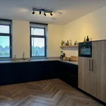 Rent 4 bedroom house of 165 m² in Blauwe Zoom