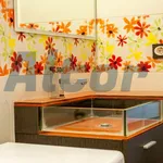 Alquilar 1 dormitorio apartamento en Madrid