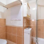 Rent 2 bedroom apartment in Mělník