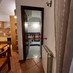 Rent 2 bedroom apartment of 48 m² in Velletri